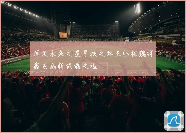 国足未来之星寻找之路王钰栋魏祥鑫或成新武磊之选